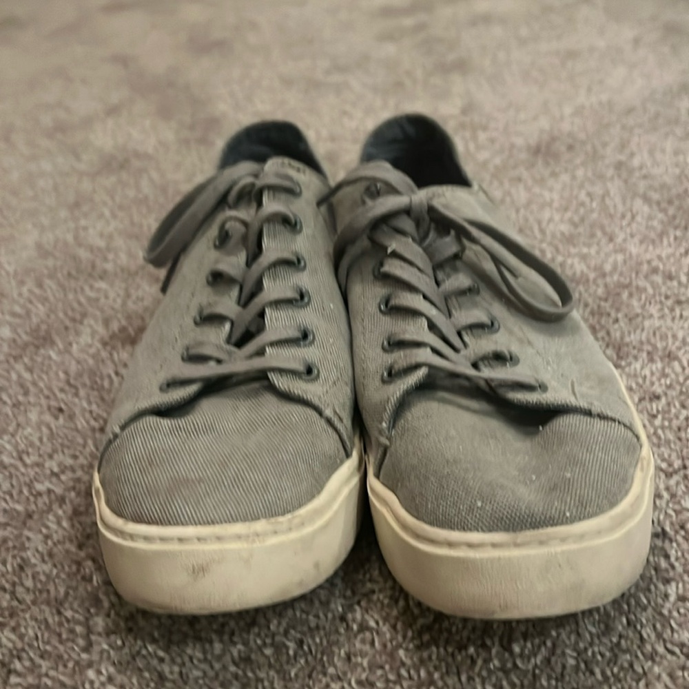 Gray Toms